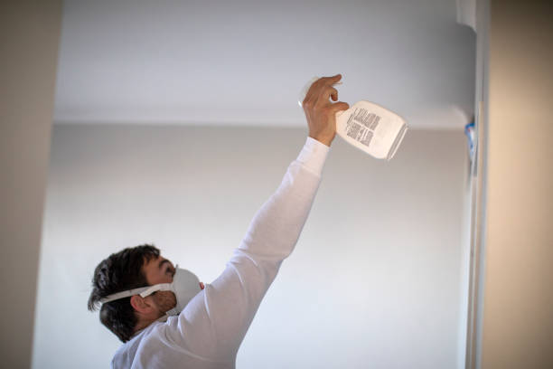 Best Residential Mold Remediation in Okawvle, IL