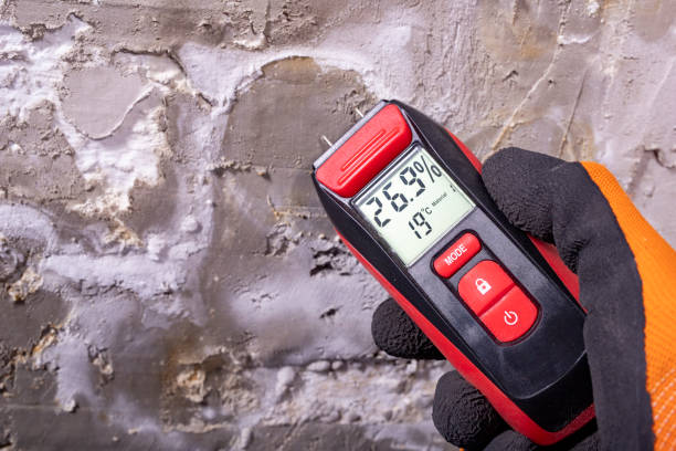 Best Residential Mold Remediation in Okawvle, IL