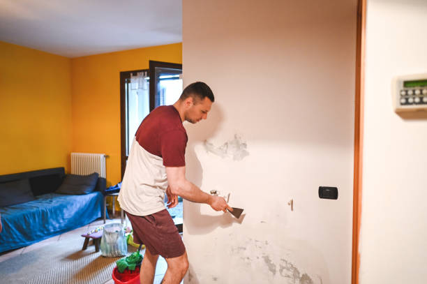 Best Commercial Mold Remediation in Okawvle, IL
